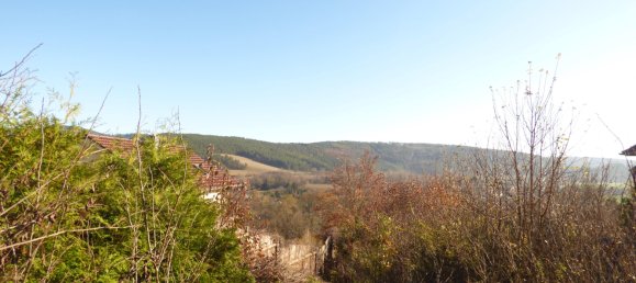 Studio in Ilm-Kreis, Germany, Nr. 58931 6