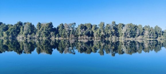 4 Schlafzimmer Haus in Loivo, Portugal, Nr. 161685 19