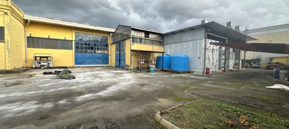 مستودع في Massa, Italy 1600متر مربع رقم 63227 7