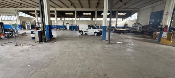 مستودع في Massa, Italy 1600متر مربع رقم 63227 15