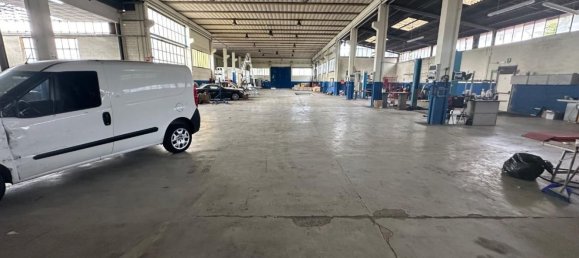 مستودع في Massa, Italy 1600متر مربع رقم 63227 11