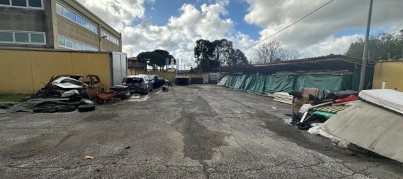 مستودع في Massa, Italy 1600متر مربع رقم 63227 4