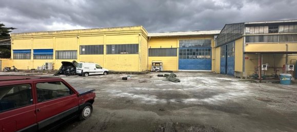 مستودع في Massa, Italy 1600متر مربع رقم 63227 6