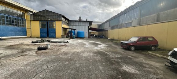 مستودع في Massa, Italy 1600متر مربع رقم 63227 5