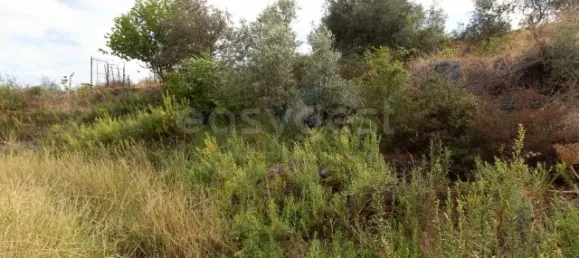 26400m² Land in Castro Marim, Portugal No. 150097 23