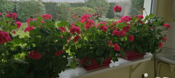 Casa de 6 dormitorios en Quemeneven, France No. 44179 12