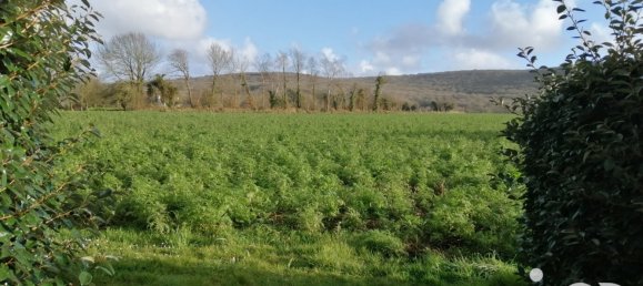 Casa de 6 dormitorios en Quemeneven, France No. 44179 14