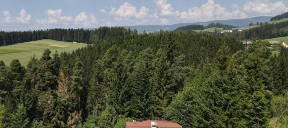 4 rooms House in Strallegg, Austria No. 174391 7