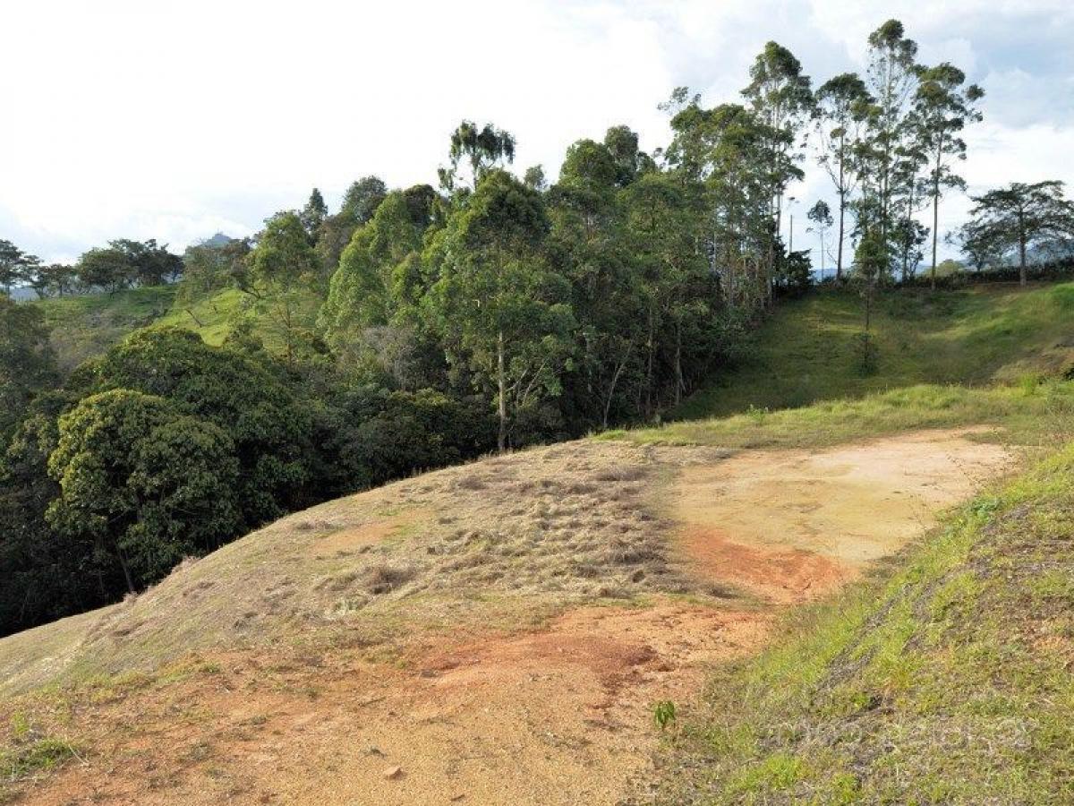 Grundstück in Antioquia, Colombia, Nr. 244
