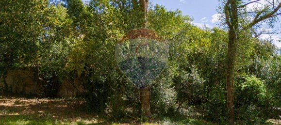 استوديو في Jesi, Italy رقم 7065 12