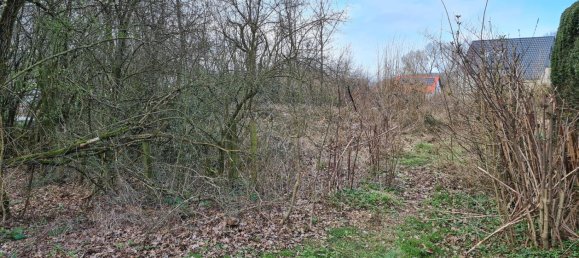 Terreno en Lippe, Germany No. 161511 8