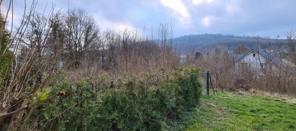 Terreno en Lippe, Germany No. 161511 4