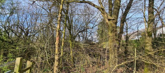 Terreno en Lippe, Germany No. 161511 2