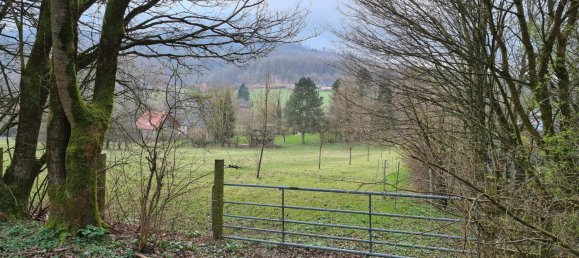 Terreno en Lippe, Germany No. 161511 9