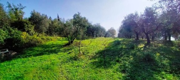 5 rooms House in Rimini, Italy No. 151338 34