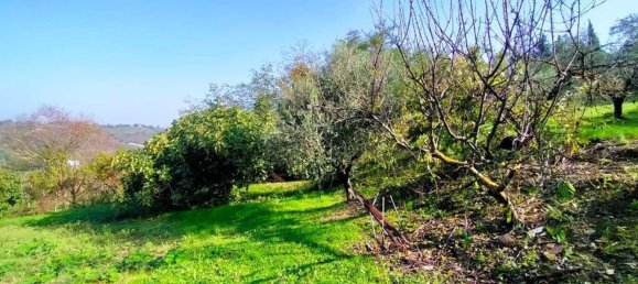 5 rooms House in Rimini, Italy No. 151338 6