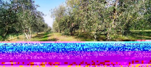 5 rooms House in Rimini, Italy No. 151338 12