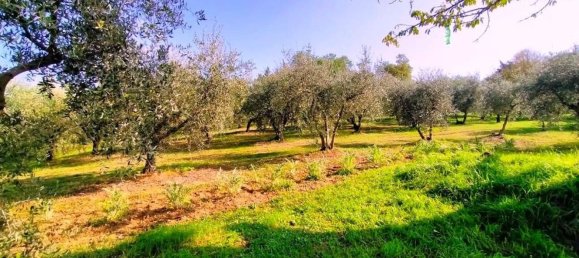 5 rooms House in Rimini, Italy No. 151338 18