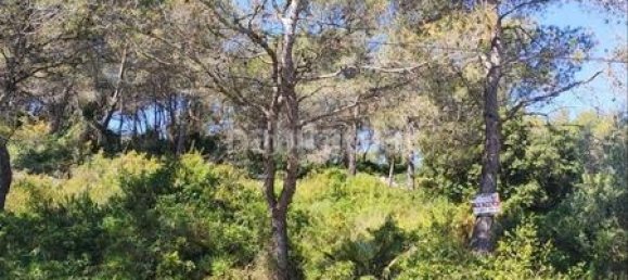 981m² Land in Barcelona, Spain No. 166071 4