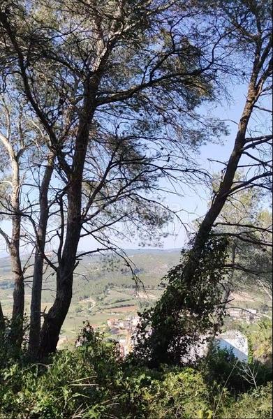 981m² Land in Barcelona, Spain No. 166071