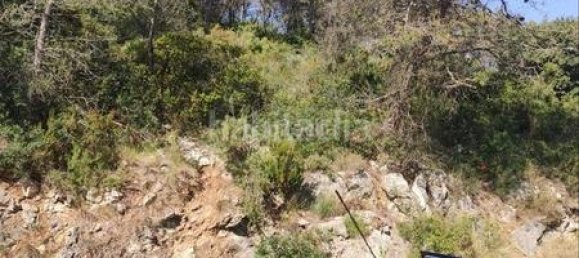 981m² Land in Barcelona, Spain No. 166071 5