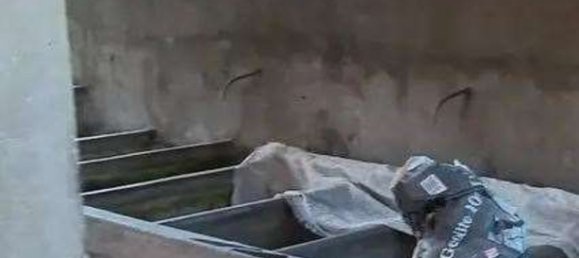 5-Zimmer Wohnung in Barga, Italy, Nr. 189319 4