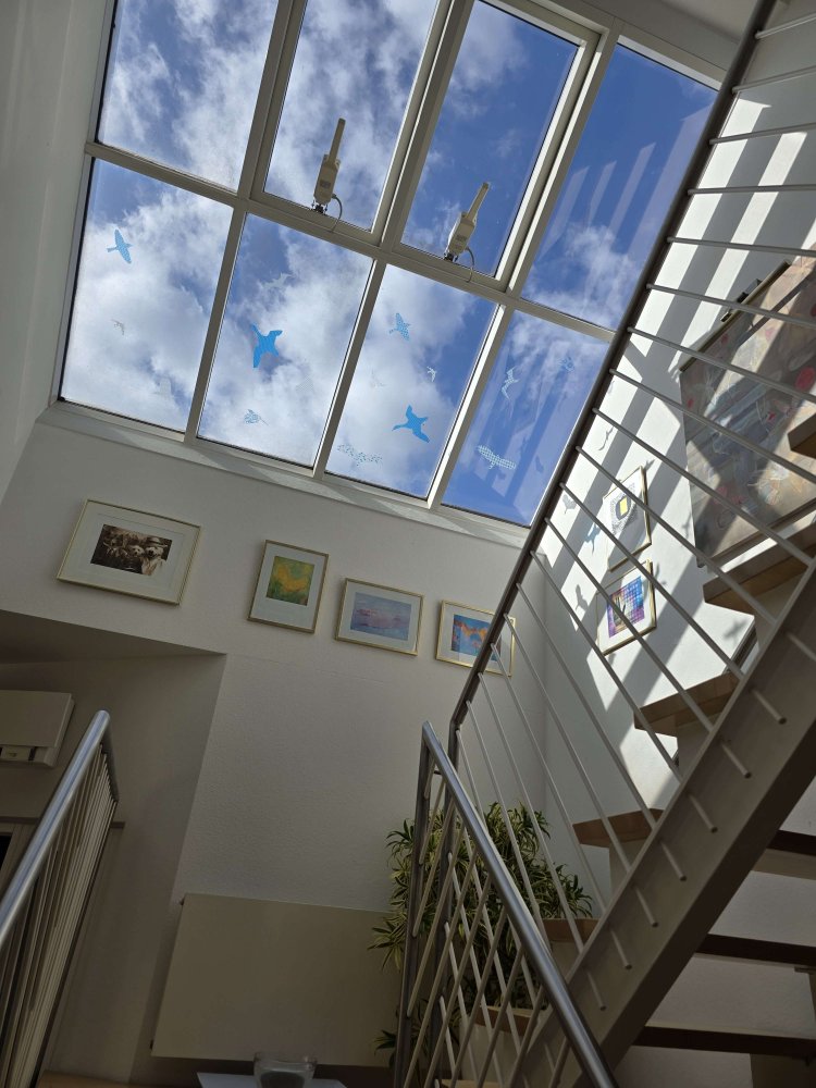 2 غرف نوم بانتهاوس في Offenbach am Main, Germany رقم 58672