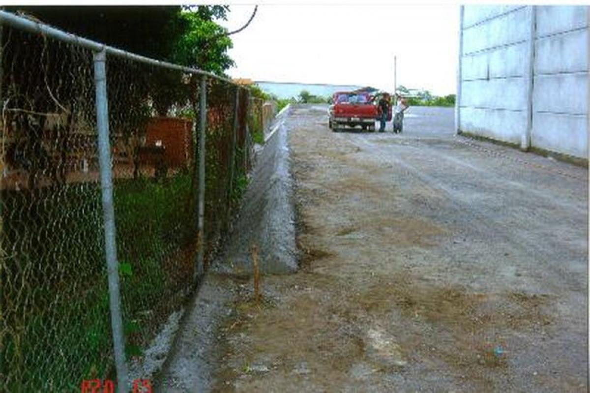  قطعة أرض في Veracruz, Mexico رقم 206316