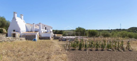 Casa en Ferreries, Spain 811 m² No. 13708 13