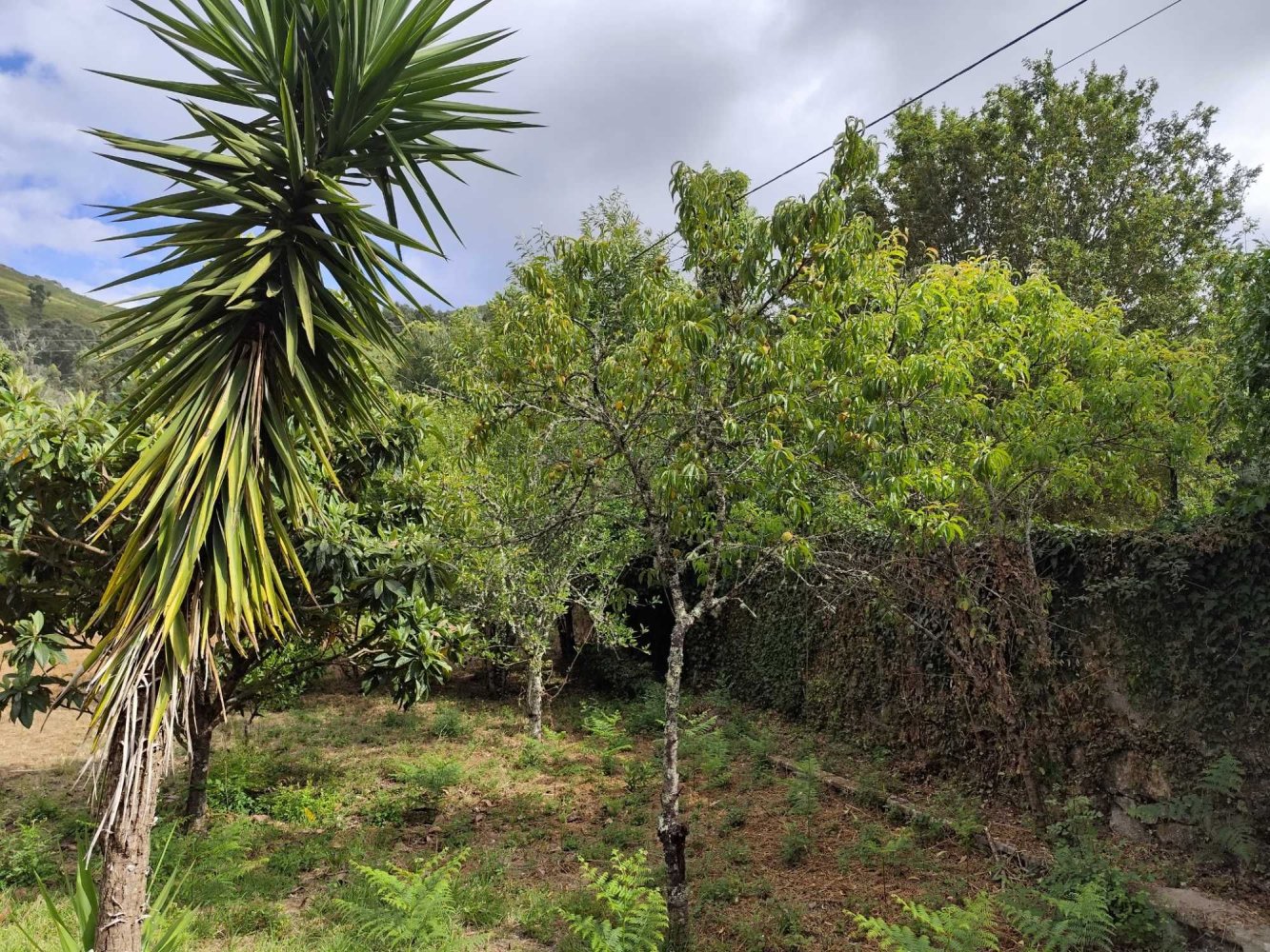 Terreno en Braga, Portugal No. 286084