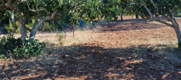 5 bedrooms House in Martina Franca, Italy No. 342686 9