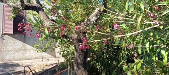 5 bedrooms House in Martina Franca, Italy No. 342686 33