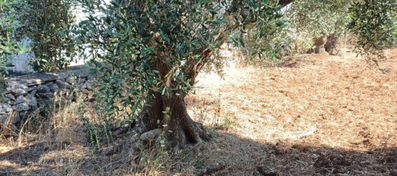 5 bedrooms House in Martina Franca, Italy No. 342686 36