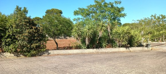 5 bedrooms House in Martina Franca, Italy No. 342686 38