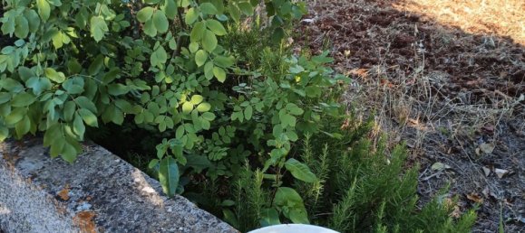 5 bedrooms House in Martina Franca, Italy No. 342686 26