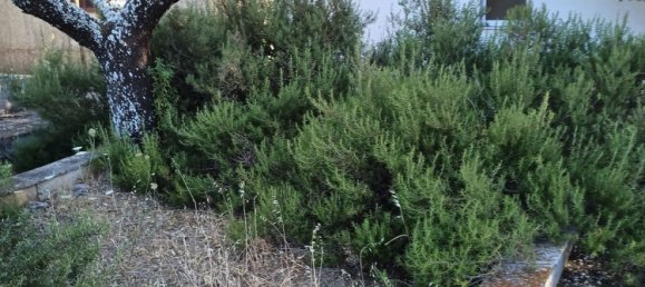 5 bedrooms House in Martina Franca, Italy No. 342686 23