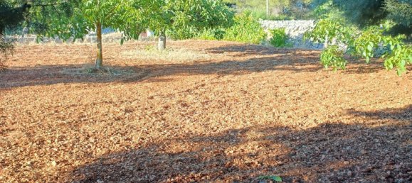 5 bedrooms House in Martina Franca, Italy No. 342686 3