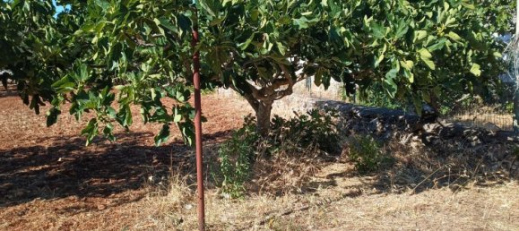 5 bedrooms House in Martina Franca, Italy No. 342686 25