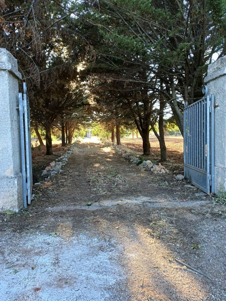 5 bedrooms House in Martina Franca, Italy No. 342686