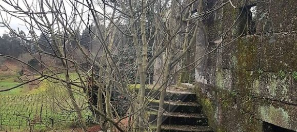 1 bedroom House in Penafiel, Portugal No. 29566 15