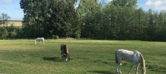Casa de 9 dormitorios en Chemille-sur-Deme, France No. 46075 34