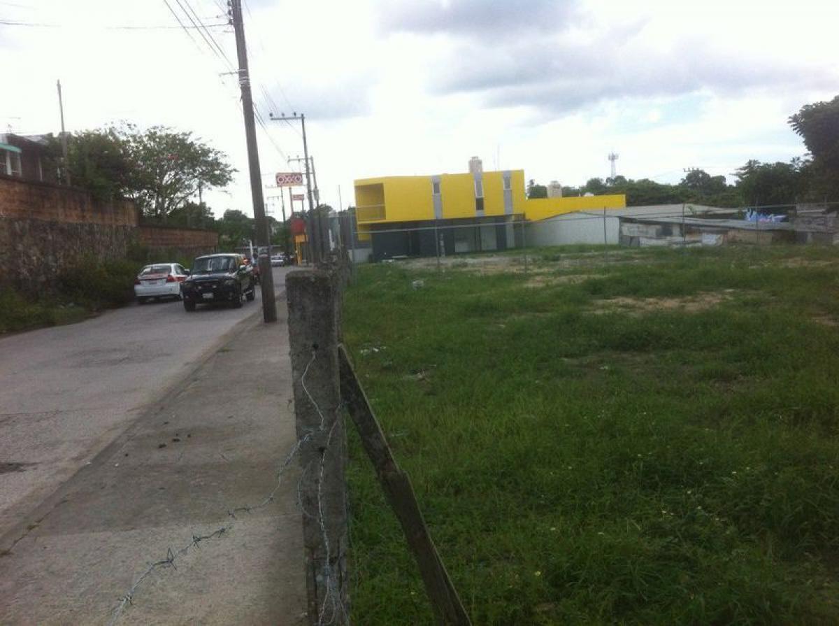  Land in Veracruz, Mexico No. 207140