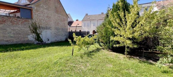  Land in Hollabrunn, Austria No. 246133 5