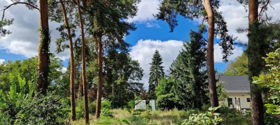 Terreno en Dahme-Spreewald, Germany No. 277033 5