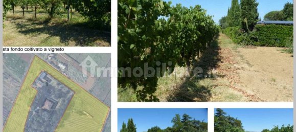 6 bedrooms Villa in Cesena, Italy No. 320025 21