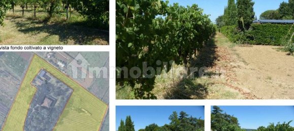 6 bedrooms Villa in Cesena, Italy No. 320025 11