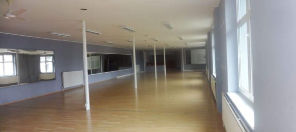 1180m² Commercial property in Purbach am Neusiedler See, Austria No. 247078 2