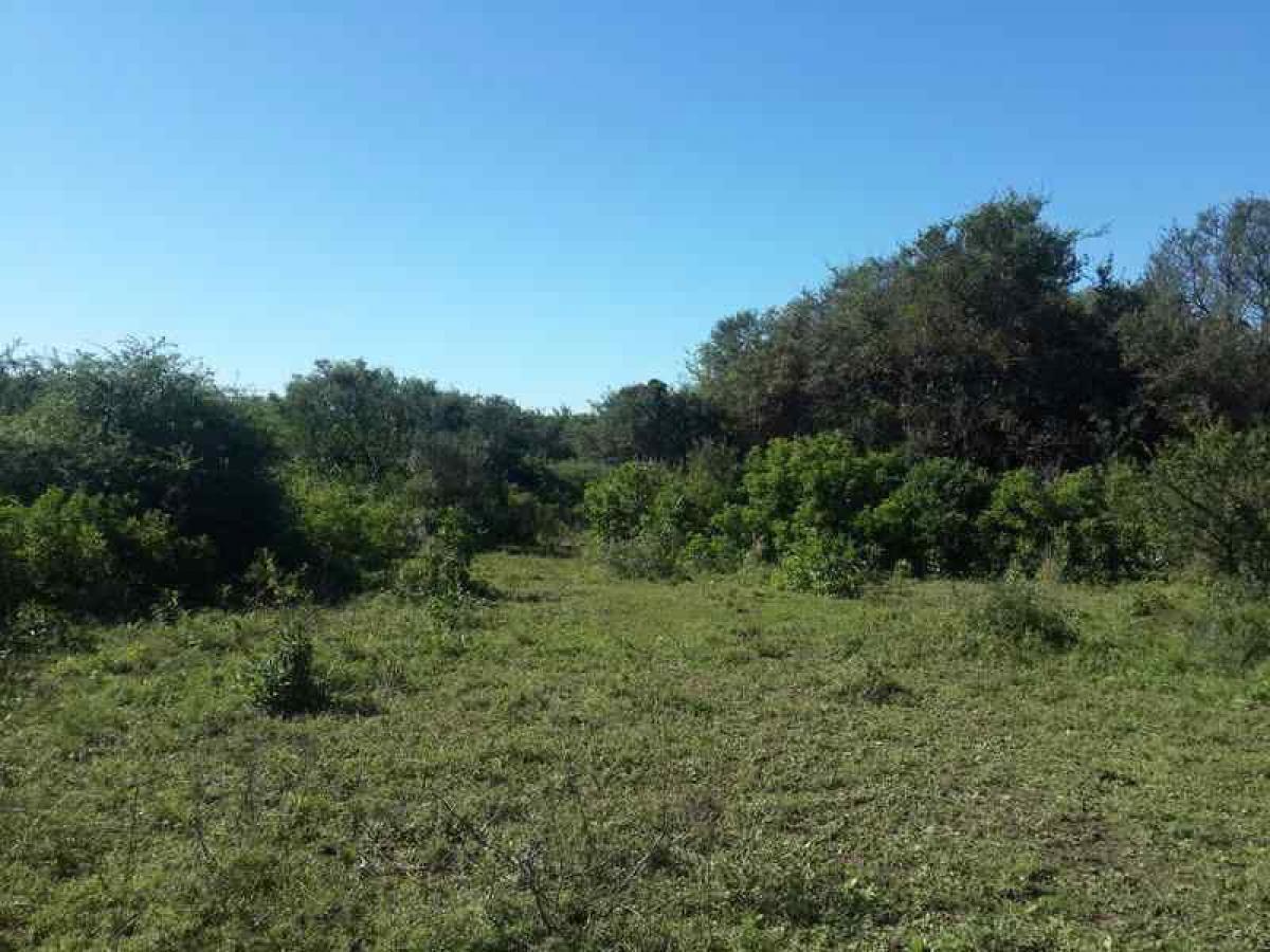 Gewerbliche Immobilie in Cordoba, Argentina, Nr. 22021