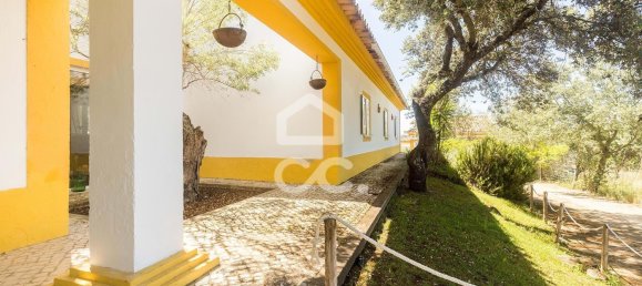 Дом с 10 спальнями в Вила Алва, Португалия № 139847 19