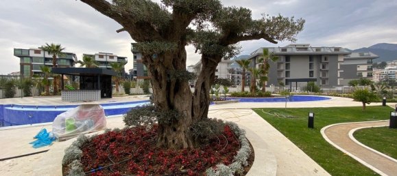 2-Zimmer Wohnung in Oba, Turkey, Nr. 9688 12